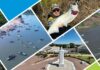 Conheça Sinop reúne os principais atrativos turísticos, eventos e experiências do município