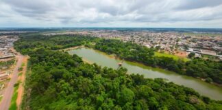 Parque Florestal de Sinop integra Rota dos Primatas de Mato Grosso e fortalece ecoturismo no Norte do estado